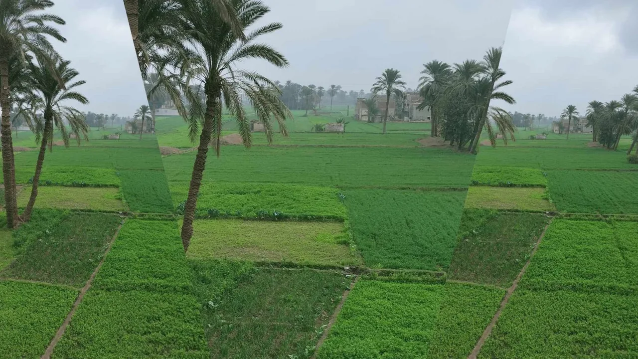 طقس اليوم يشهد أجواء معتدلة نهاراً وتحذيرات من تقلبات جوية خلال الليل